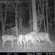 Bushnell Red Zone: Picture 4 thumbnail