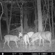 Bushnell Red Zone: Picture 5 thumbnail