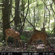 Bushnell Sweet Acorn Salt: Picture 3 thumbnail
