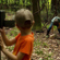 Bushnell Sweet Acorn Salt: Picture 4 thumbnail