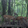Bushnell Sweet Acorn Salt: Picture 5 thumbnail