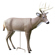 Bushnell Scar Deer Decoy: Picture 1 thumbnail