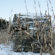 Bushnell Double Bull Blind: Picture 7 thumbnail