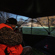 Bushnell Double Bull Blind: Picture 14 thumbnail