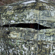 Bushnell Double Bull Blind: Picture 18 thumbnail