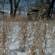 Bushnell Double Bull Blind: Picture 3 thumbnail