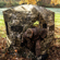 Bushnell Double Bull Blind: Picture 7 thumbnail