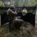 Bushnell Double Bull Stakeout: Picture 2 thumbnail