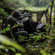 Bushnell Double Bull Stakeout: Picture 3 thumbnail