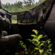 Bushnell Double Bull Stakeout: Picture 5 thumbnail