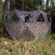 Bushnell Double Bull Stakeout: Picture 7 thumbnail