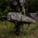 Bushnell Scoped Rifle Case, Mossy Oak Bo...: Picture 2 thumbnail