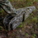 Bushnell Scoped Rifle Case, Mossy Oak Bo...: Picture 7 thumbnail