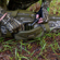 Bushnell Shotgun Case: Picture 6 thumbnail