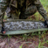 Bushnell Shotgun Case: Picture 7 thumbnail