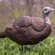 Bushnell Lil Gobbstopper: Picture 2 thumbnail