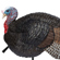 Bushnell Lil Gobbstopper: Picture 1 thumbnail