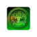 Best Service Celtic ERA 2 Crossgrade: Picture 1 thumbnail