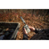 Browning Pro Scout Max HD AI: Picture 5 thumbnail
