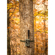 Browning Pro Scout Max HD AI: Picture 8 thumbnail