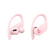 Beats by Dr. Dre Powerbeats Pro: Picture 2 thumbnail