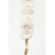Bloom Theory "Wild Flower" Fashion Camer...: Picture 1 thumbnail