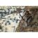 Burris Optics 4-16x50 Eliminator III: Picture 3 thumbnail