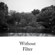 B + W 37mm 022 Multi Coated Filter,Mediu...: Picture 1 thumbnail