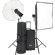 Bowens Gemini 750 Pro 2 Monolight TR/RX Kit, with 2 750 WS Monolights, Light Stands, Umbrella, Pulsar Radio Trigger, Softbox & Trolly Case.: Picture 4 thumbnail