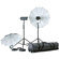 Bowens Gemini 1000 watt Monolight Kit with 2 500ws Heads, 2 Light Stands, Reflectors, Umbrellas & Deluxe Rolling Carrying Case.: Picture 1 thumbnail