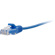 C2G 15FT CAT5E UTP 28AWG BLU: Picture 2 thumbnail