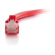 C2G 4' Cat6 Snagless Unshielded Ethernet...: Picture 4 thumbnail