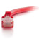 C2G 14' Cat6 Snagless Unshielded Etherne...: Picture 3 thumbnail