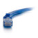C2G 5' Cat6 Snagless Unshielded Ethernet...: Picture 2 thumbnail