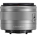 Canon 15-45mm f/3.5-6.3 IS STM: Picture 5 thumbnail