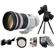 Canon 300mm F/2.8L: Picture 1 thumbnail