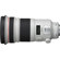 Canon 300mm F/2.8L: Picture 1 thumbnail