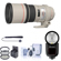 Canon 300mm F/4L: Picture 2 thumbnail
