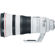 Canon 400mm F/2.8L III: Picture 2 thumbnail
