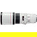 Canon 400mm F/5.6L: Picture 6 thumbnail