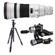 Canon 500mm F/4L: Picture 2 thumbnail