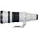 Canon 500mm F/4L: Picture 5 thumbnail