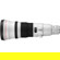 Canon 600mm F/4L: Picture 3 thumbnail
