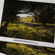 Canson Infinity Edition Etching Rag II S...: Picture 2 thumbnail