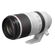 Canon RF 100-500mm f/4.5-7.1: Picture 6 thumbnail