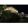 Canon RF-S 10-18mm f/4.5-6.3: Picture 6 thumbnail