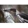 Canon RF 200-800mm f/6.3-9: Picture 15 thumbnail