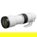 Canon RF 200-800mm f/6.3-9: Picture 6 thumbnail