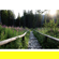 Canon RF 24mm f/1.4 L VCM: Picture 9 thumbnail