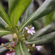 Canon RF 28-70mm f/2.8 IS STM: Picture 16 thumbnail